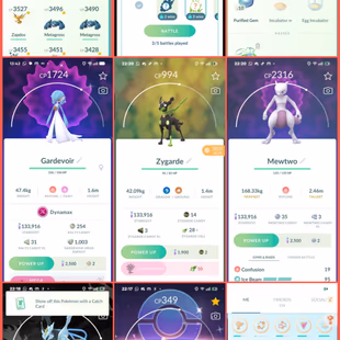 🎯BEST VALUE (HUNDO 319 💯IV) LVL 65 ACCT 2021 / 1267 TRADEABLE PG) HO-OH PIKACHU PG RARE) 227 LEGENDRY | RARE COLLECTOR - Image 8