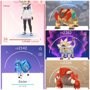 Lvl 50+ [Shiny Zacian] | 46 Legendary | Solgaleo | Lunala | Kyogre | Groudon | Regidrago | Regieleki | Valor | 856 - Image 2
