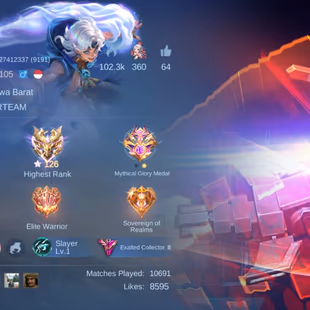 GOOD HYPER EXP MAGE ACC || JHON LEG YSS COLL XBORG METRO ZERO || RARE SKINS || 333 SKINS || EX IMMORTAL - Image 6