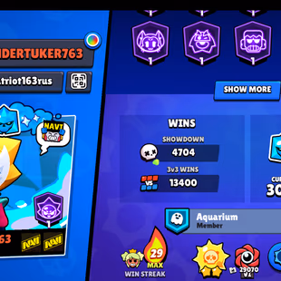 CHANGEABLE ID | 102K TROPHY-375X SKINS | NC AVAILABLE | 101/101 BRAWLER | 60X MAX | 54X HYPER | 3v3 WINS | NICE SJINS - Image 4