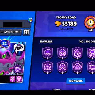 25 TITLES | 302 SKINS | 55.200 TROPHY | 100 BRAWLERS | 31 HYPERCHARGED | 43 MAXED BRAWLERS | 22 PRESTIGE | 7 BUFFIES - Image 5