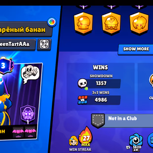 77 brawler | 26000 Trophy | 20 Max Brawler | 8 Haypercharge | 103 skin | 3 prestige| 26k - Image 3