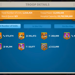  1m2 credit - 1 skin house - 2 farm - Image 3