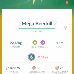 0P CHEAPEST LEVEL 27 []MEGA BEEDRILL []HUNDO LUGIA []LEGENDARY 42 []LOCATION BG 11 []SPECIAL BG 4 - Image 7