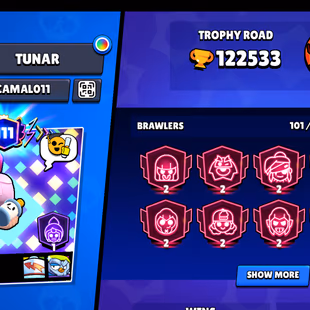 111X PRESTIGE/METEORIC | 123K TROPHY - 425X SKINS | RAREST | 101/101 BRAWLER | 75X MAX | 75X HYPER | 3v3 WINS | BEST DEL - Image 3