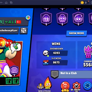 44 TITLES | SIRIUS | 327 SKINS | 74.100 TROPHY | 100 BRAWLERS | 43 HYPERCHARGED | 49 MAXED BRAWLERS | 43 PRESTIGE - Image 6
