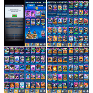 ⚡LV 53 - 13 EVO⚡ KT14 | ARENA 25 | TROPHIES 10268 | EMOTE 56 | 5 CARD LV 15 - 19 LV 14 | 1 HERO | 1X LEG BADGE | 1RULERS - Image 4