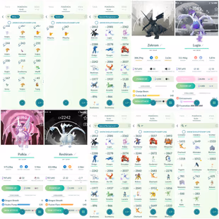 LEVEL 52 😍 8 SHINY LEGENDARY 🔥 91 LEGENDARY | 42 SHINY | 14 SPECIAL BG | 23 HUNDO | FREE RENAME | INSTANT DELIVERY. - Image 4