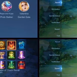 Exalted Collector 5 | 317 Skins | Max Emblems | iOS & Android Playable - Image 2