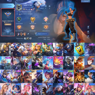 Expert collector 2 | 131 Heroes Skins | Hayabusa x Cosmic Granger x Leona | Max Emblem | Cool Character | All Regions - Image 1