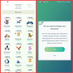 33]🎯 (RARE CANDY 108) (LVL 43) 👹(YEAR 2025) (LEG 50) (SHINY 51) (SHINY LEG 1) (PS 375) (IS 625) (INSTANT DELIVERY) - Image 4