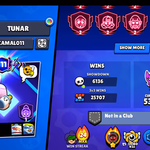 111X PRESTIGE/METEORIC | 123K TROPHY - 425X SKINS | RAREST | 101/101 BRAWLER | 75X MAX | 75X HYPER | 3v3 WINS | BEST DEL - Image 4