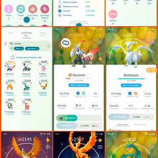 🎯HIGH VALUE ACCT LEVEL 53 🐉 RAYQUAZA RESHIRAM | KYUREM 506 CP / 154 LEGENDARY | RARE COLLECTOR - Image 3