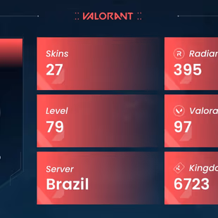 VALORANT | Comet Sword | Catrina | Shellspire Sword | 27 skins | 79 LVL | Warranty | Gift - Image 5