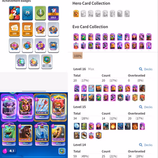 Level 75 | Level 16 Card 20x | 22x Evolation | KT-16 | Best Account | instant Delivery  - Image 2