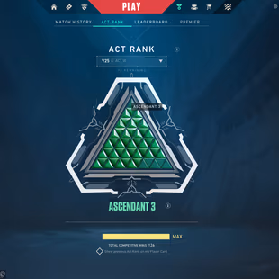 [EU] 9 KNIFES | 9 VANDALS | 4 PHANTOMS | ASCENDANT RANK | 96,450 VP SPENT (850USD) | Turkish VP (cheap) | INSTANT DELIVE - Image 3