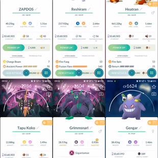 RARE SHINY LOCATION BG ZAPDOS - 6 SHINY LEG - 96 SHINY - 79 LEGENDARY - LVL 46- 15 GMAX - 18 LOCATION BG - SPECIAL BG GR - Image 4