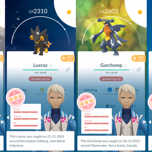 CHEAP | TEAM MYSTIC | LEVEL 55 | 136 Shiny | 21 Legendary | 14 Perfect | 4 Shadow | Safe | INSTANT DELIVERY  - Image 2