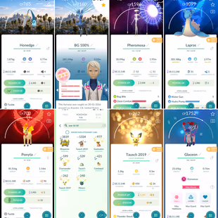 PVP ACCOUNT [] LOS ANGELES BG XERNEAS 100 [] 34 SHINY LEGENDARY [] 349 LEGENDARY [] 382 SHINY [] RENAME AVAILABLE [] 48  - Image 5