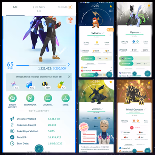 0P LVL 65STACKED[]ShinyMew[]TradableAshHatRaichu[]HundoZekrom[]ShinyBlackKyurem[]WhiteKyurem[]5ShinyMythic[]ShinyMewtow - Image 1