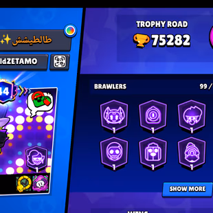 227-GEMS | 75300-TROPHY | 325X SKINS | NC AVAILABLE | 100/99 BRAWLER | 51X MAX | 45X HYPER | 105/113- SUPER RARE SKINS - Image 3
