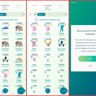 22]🍓 LEVEL 43 ACCT) 50 SHINY  51 LEGENDARY) 2 HUNDO  282 TRADEABLE💯)SHINY LUGIA) SHINY HO-OH ) RARE COLLECTOR ACCT - Image 6