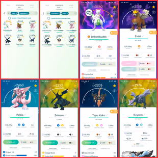 🎯LVL 44 ACCT | 78 LEGENDARY | 21 SHINY 👹| SHINY MEWTWO BEST BUDDY | RAYQUAZA | KYOGRE | NECROZMA | INSTANT DELIVERY - Image 4