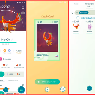 🎯ZAPDOS BG HO-OH DYNAMAX  👹 LEVEL 40  ACCT | 69 LEGENDARY | 15 SHINY | TRADEABLE SHINIES | GMAX  DMAX | INSTANT - Image 8