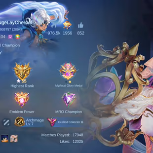 HYPER BASED PREMIUM ACCOUNT|| LEVEL 104|| EXALTED 3 || LEGEND 1 || EXQUISITE 7 ||GRAND 6 ||SKINS 383 || HEROS 131 ||  - Image 6