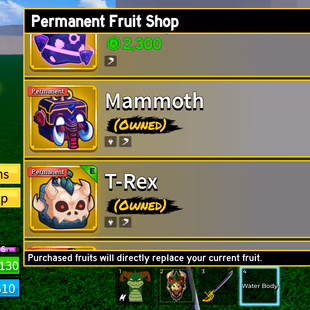 Blox Fruits Account | Lv.1820 | PERMANENT KITSUNE + MAMMOTH + T-REX | Shark Race | High Blox Fruit Stats | Ready for Gri - Image 4
