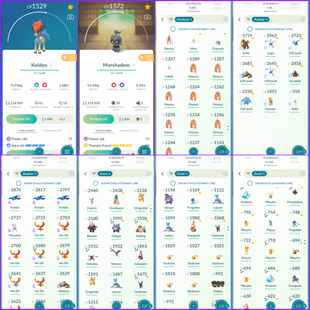 Level 67 Insane Collection | 558 Shiny : 707 Legendary | Rare Shiny Legendaries | Shiny Special BGs & DMax | Zygrade Sem - Image 8