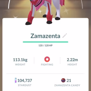 0P BEST STARTER LEVEL 23 1x SHINY LEGENDARY SHINY ZAMAZENTA 51x LEGENDARY 1x SHINY 138x RARE CANDY - Image 8
