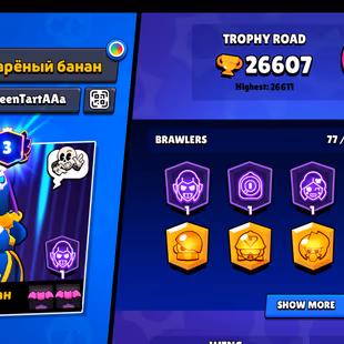77 brawler | 26000 Trophy | 20 Max Brawler | 8 Haypercharge | 103 skin | 3 prestige| 26k - Image 2