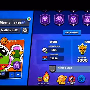 34 TITLES | 210 GEMS | 362 SKINS | 61.200 TROPHY | 99 BRAWLERS | 51 HYPERCHARGED | 65 MAXED BRAWLERS | 26 PRESTIGE - Image 4