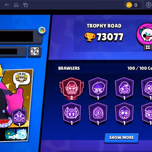 341 SKINS | 73.000 TROPHY | 100 BRAWLERS | 60 HYPERCHARGE | 70 MAX | 33 PRESTIGE | 19 BUFFIES - Image 5