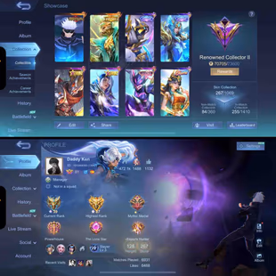 Renowned Collector 2 | 267 Skins | Max Emblems | iOS & Android Playable - Image 2