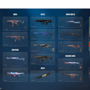 VLR7 | - Champion 2022, 2023, 2024- 10 Melee (2 limited) - 22 Gun (3 limited) - 5 battle pass - Image 4