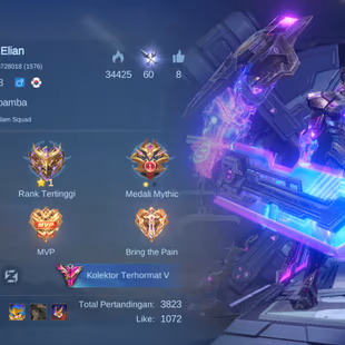 EC264|LV 63|HERO 121|SKIN 289|EXALTED V|ALL EMBLEM MAX|ALUCARD LEGEND|CECILION SOUL VESSEL|ROGER TRANSFORMER|KARINA KOF| - Image 2