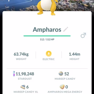 RARE FORM SHINY UNOWN 7x[] NAGASAKI LBG [] 121 SHINY [] 67 LEGENDARY [] 3x SHINY LEGENDARY [] COSTUME PICHU [] LEVEL 43  - Image 8