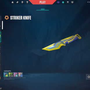 NA | 85 Skins+4 Knife | Prime//2.0 Karambit | Champ 2022 Phantom | RGX 11z Pro / Gaia s / Reaver Vandal | Protocol781-A - Image 7