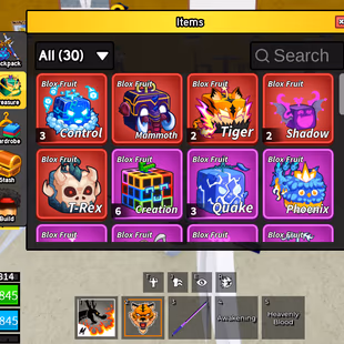 Blox Fruits Lv 2554 | 16 PERMS | PERM DRAGON, KITSUNE, TIGER, CONTROL |  DARK BLADE | CDK, Fox Lamp | Angel V4 - Image 7