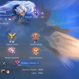 SOLID SUPPORT MAGE ACCOUNT || 1 LEG 12 GRAND 10 EXQUISITE || EXALTED COL 2 || EPIC RECALL || EX 38 STAR || BEST ACC - Image 6