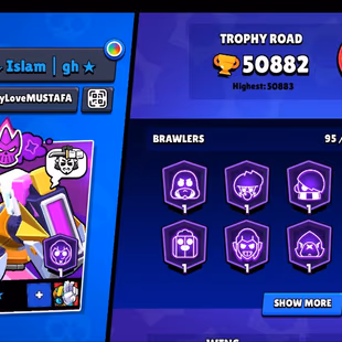 TROPHY 50K-BRAWLER 95-MAX BRAWLER 34-HYPERCHARGE 27-ICON 360-SKINS COLLECTION 235-OLD COLLECTION AVAILABLE-BEST-DEAL - Image 4