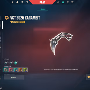 VALORANT ACCOUNT |  VCT 2025 KARAMBIT | ELDERFLAME BUNDLE AND MANY MORE! |22 SKINS WITH EFFECT | 83 OTHER SKINS - Image 3