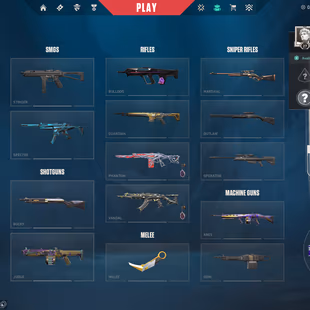 🌍NA | 16 Skins🌀 | 1 Knives | Prime//2.0 Karambit | Gaia's Vengeance Phantom | 7.4K VP Spent | Unranked - Image 4