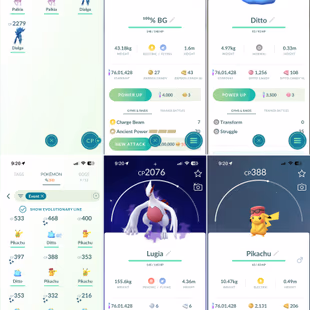 CHEAPEST 210 SHINY 💎 100 LEGENDARY 💎 7.6 MILLION DUST [] BG GROUDON [] LEVEL 70 [] SHINY ZAPDOS BG - Image 7