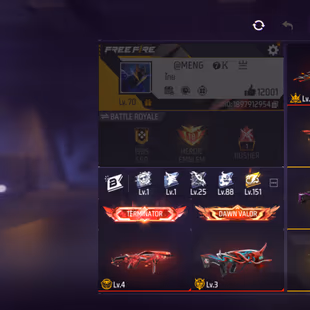 X292|Lvl 70|92 BUNDLE(4 ARTIFACT)|COBRA LEGENDARY SET 4 COLOUR|244 COSTUME|278 WEAPON(3 EVO+46 MYHTIC)|MP40 Cobra Lv 4|U - Image 3