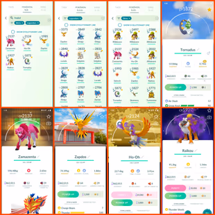 🎯OG 2016 ACCT LVL 44 | SUPER RARE PIKACHU 2016👹) (SHADOW HO-OH LUGIA RARE / 212 TRADEABLE PG / 10 HUNDO IV) INSTANT - Image 5