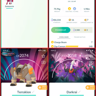 🎯2 RARE TRADEABLE SHINY BG ZAMAZENTA - SHINY MEWTWO | 100IV ZEKROM | 48 SHINY | 57 LEGENDARY ) NAME CHANGE Avl - Image 4