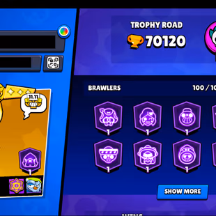 317 SKINS | 70.100 TROPHIES | 100 BRAWLERS | 64 HYPERCHARGE | 65 MAX | 47 PRESTIGE | 11 BUFFIES - Image 5